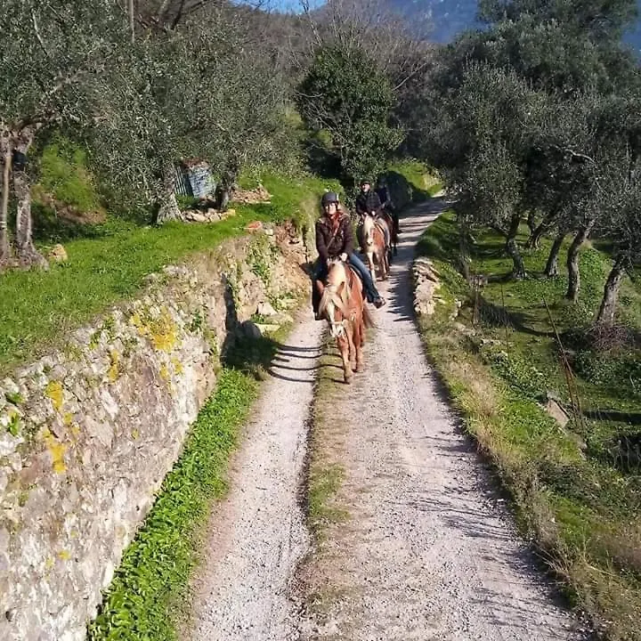 Villamorosa Calci Italie